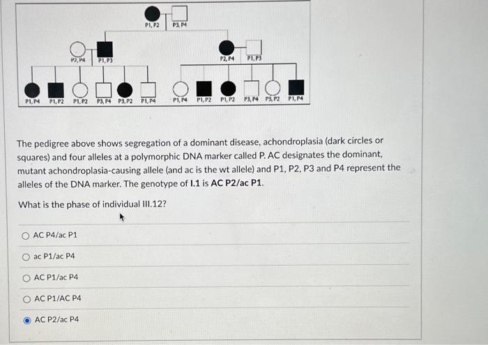Solved The pedigree above shows segregation of a dominant | Chegg.com
