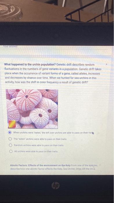 Solved What happened to the urchin population? Genetic diif 