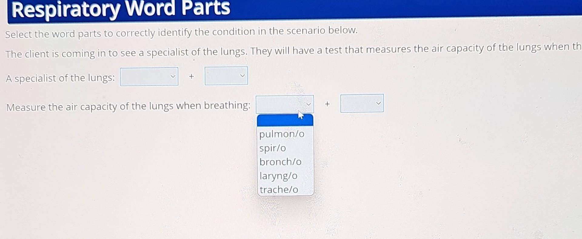 Solved Select the word parts to correctly identify the | Chegg.com
