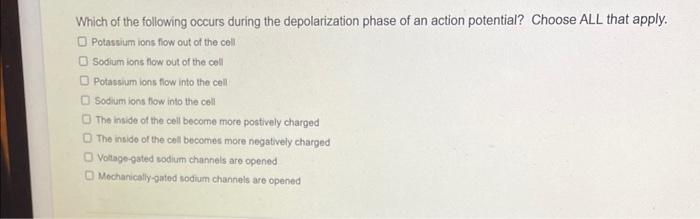 during the depolarization phase of an action potential the following occurs