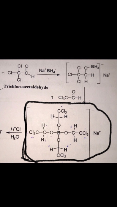 Solved What Is The Formula Of This Molecule Whats The Na Chegg Com
