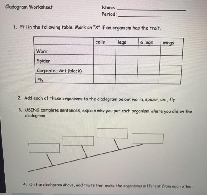 cladogram worksheet