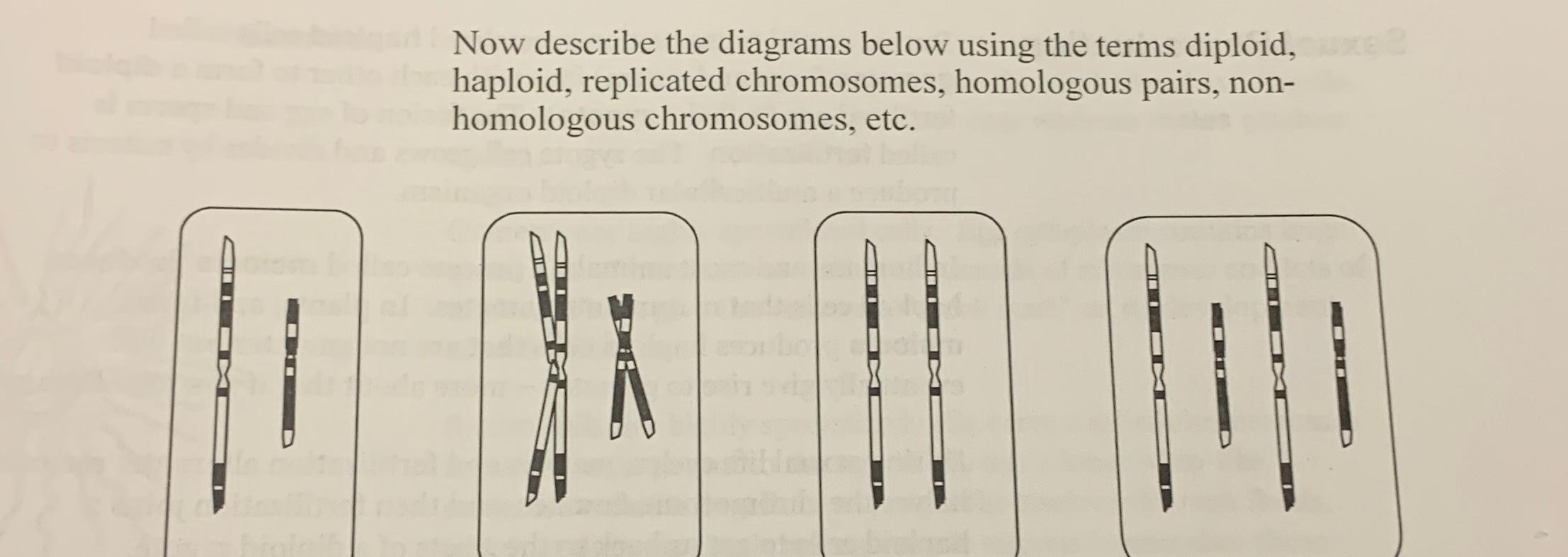Solved Now describe the diagrams below using the terms | Chegg.com