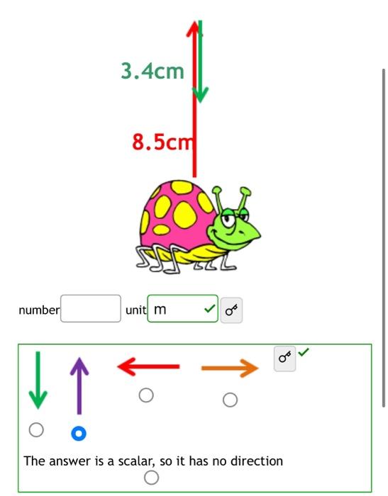 Solved Find the displacement(in meters) of the bug on the | Chegg.com