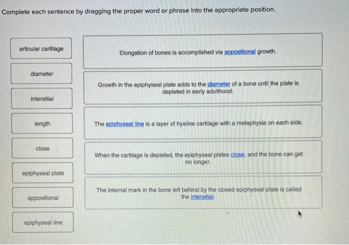 Solved Complete Each Sentence By Dragging The Proper Word Or | Chegg.com