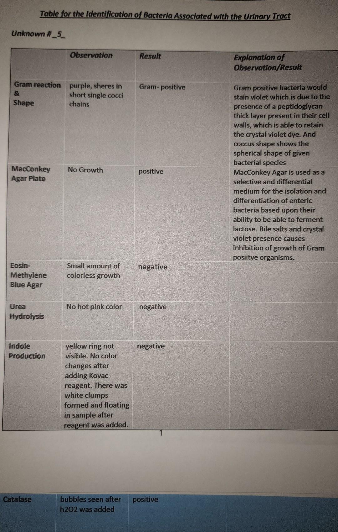 Solved Lab Report for the Identification of Bacteria | Chegg.com