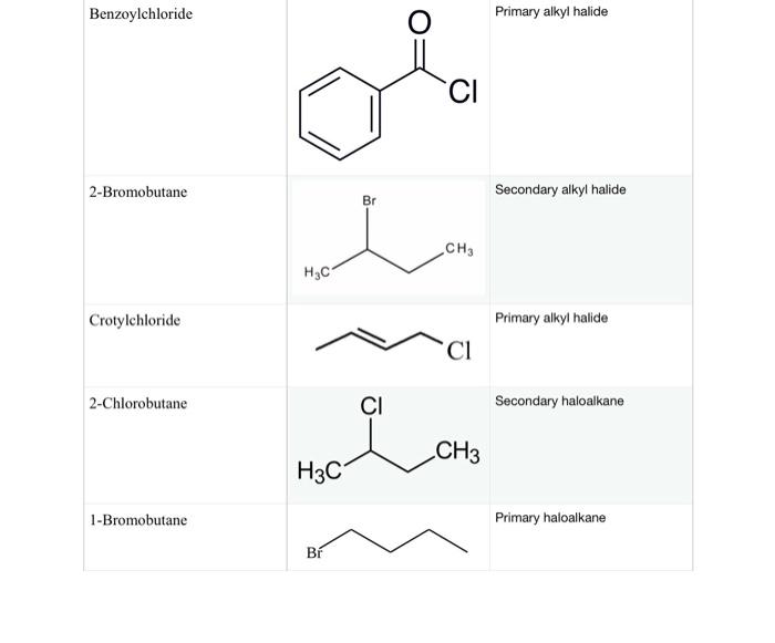 Solved 2. Consider all the primary halides in this | Chegg.com