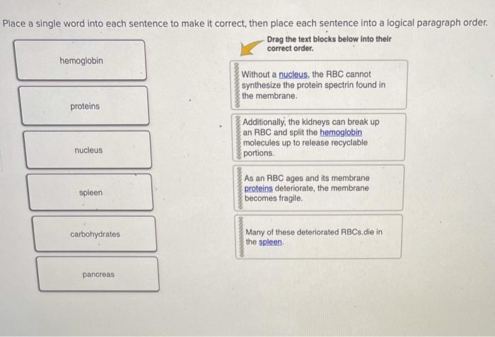 solved-place-a-single-word-into-each-sentence-to-make-it-chegg