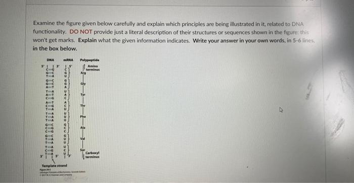 Solved Examine the figure given below carefully and explain | Chegg.com
