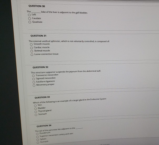 Solved QUESTION 30 lobe of the liver is adjacent to the gall | Chegg.com