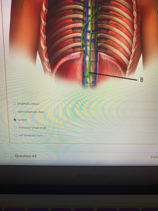 Solved Question 43 2 pts For questions 43-44, refer to the | Chegg.com