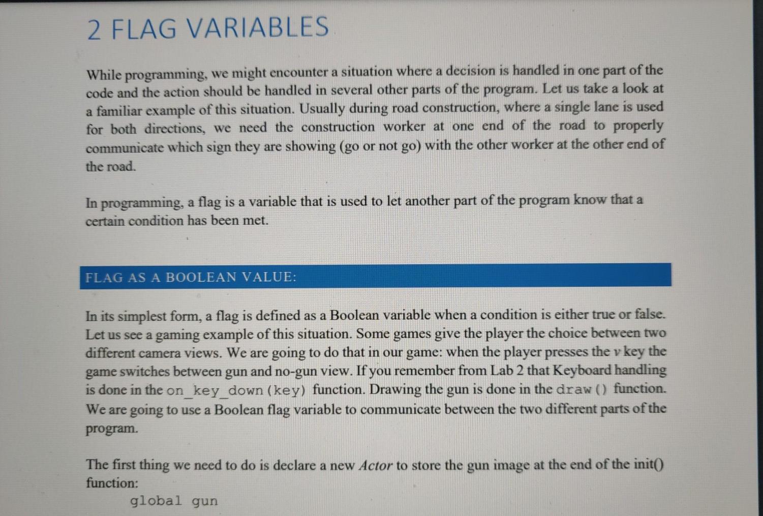 Why do we use flag in programming?
