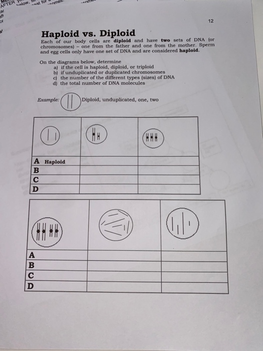 Solved HETER NOW. tol.meb. Haploid vs. Diploid Each of our