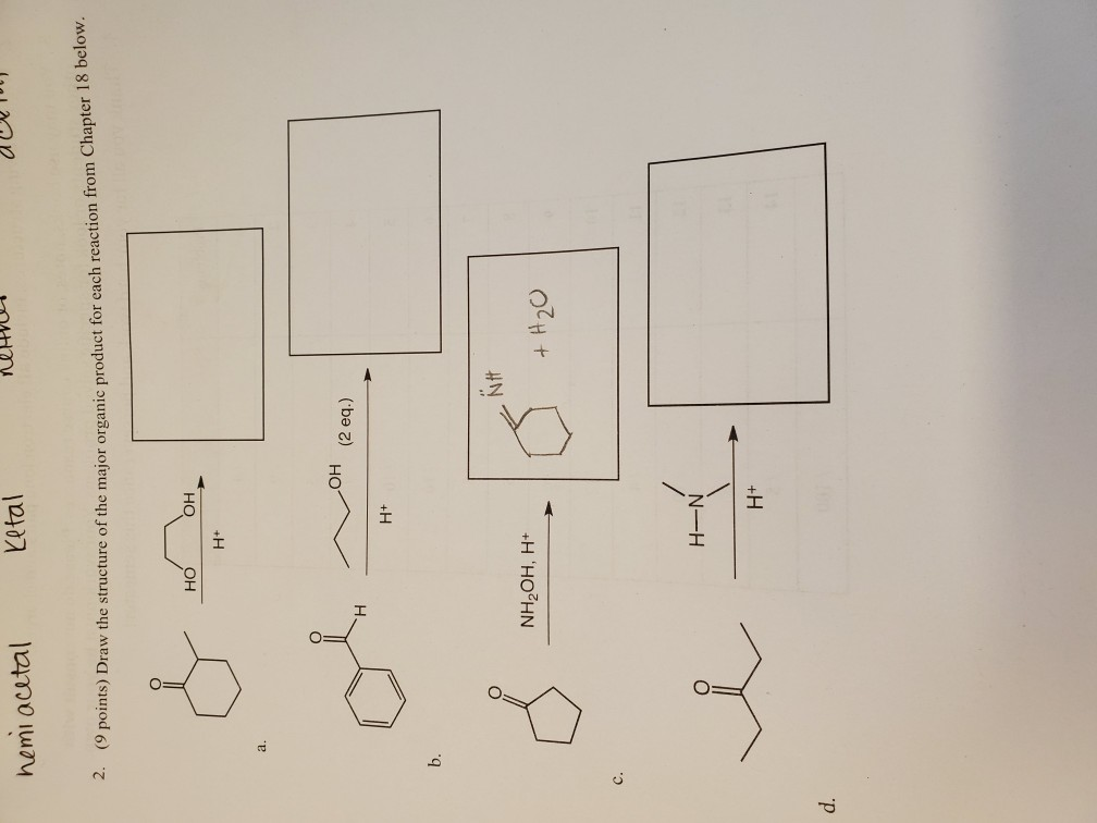 Solved draw the structure of the major product for each | Chegg.com