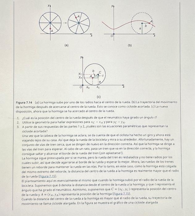 (a) (b) (c) Figura 7.14 (a) La hormiga sube por uno de los radios hacia el centro de la rueda. (b) La trayectoria del movimi