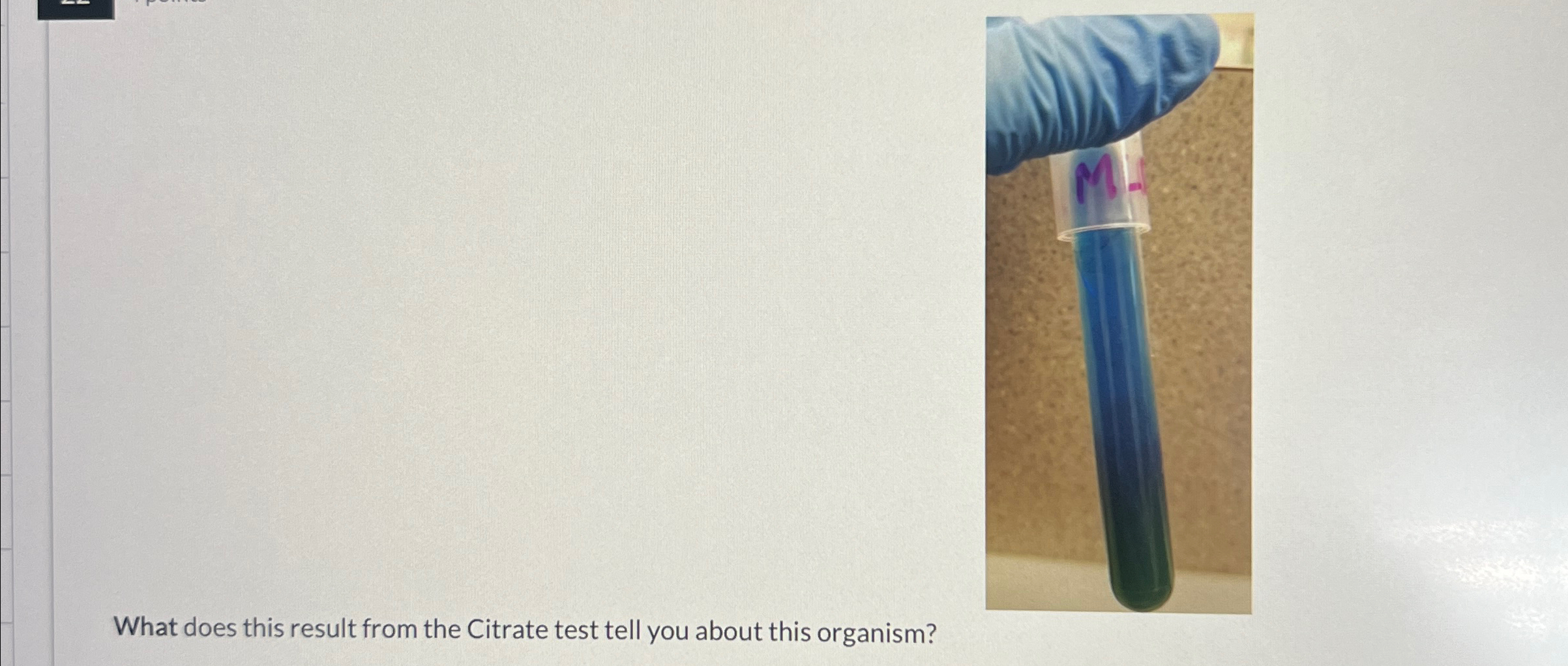 Solved What does this result from the citrate test tell you | Chegg.com