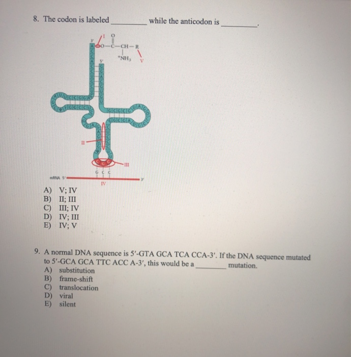 Solved 8. The codon is labeled while the anticodon is A) C) | Chegg.com