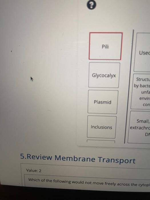 5.Review Membrane Transport
Value: 2
Which of the following would not move freely across the cytop