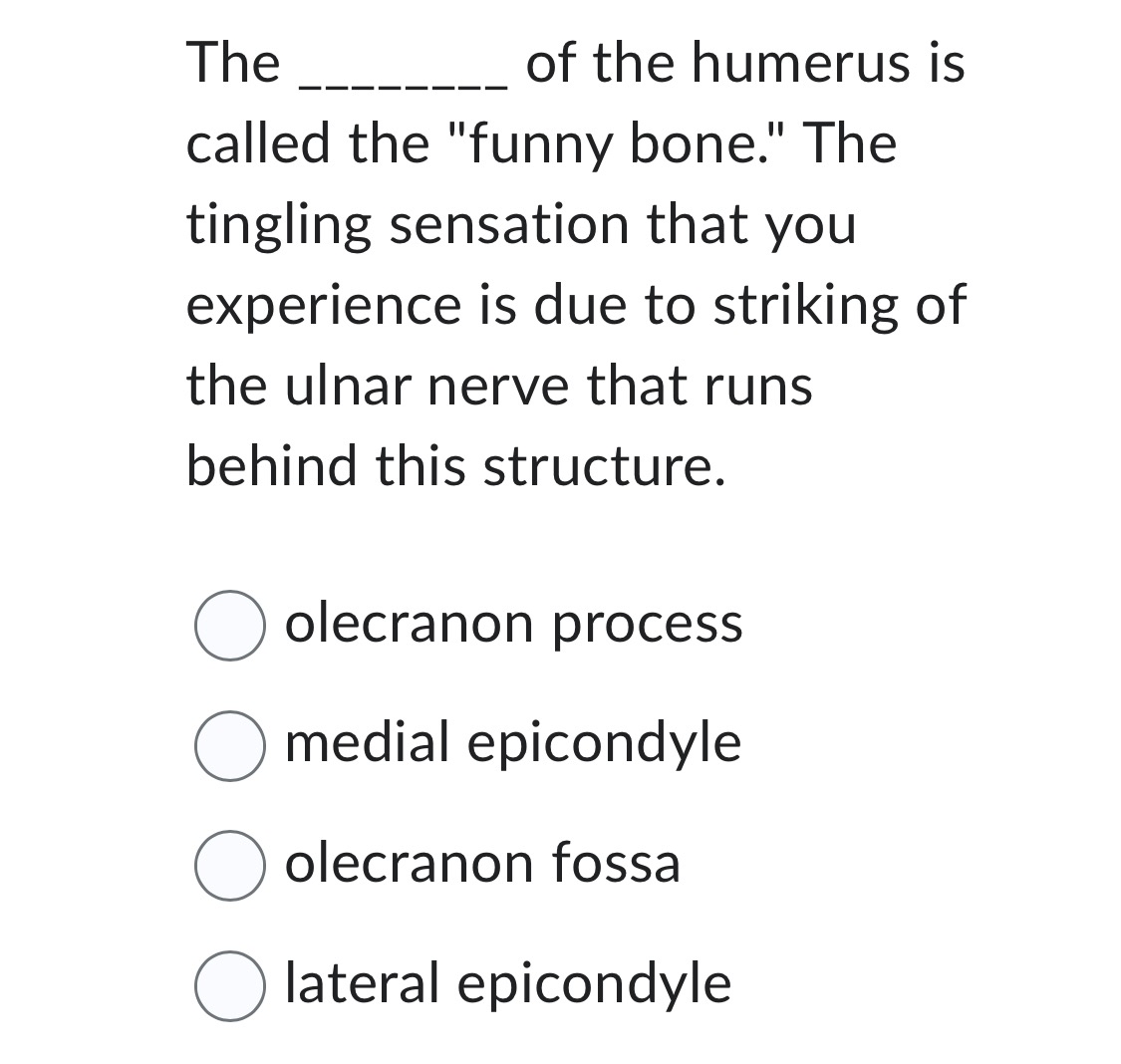 Solved The q, ﻿of the humerus is called the "funny bone." | Chegg.com