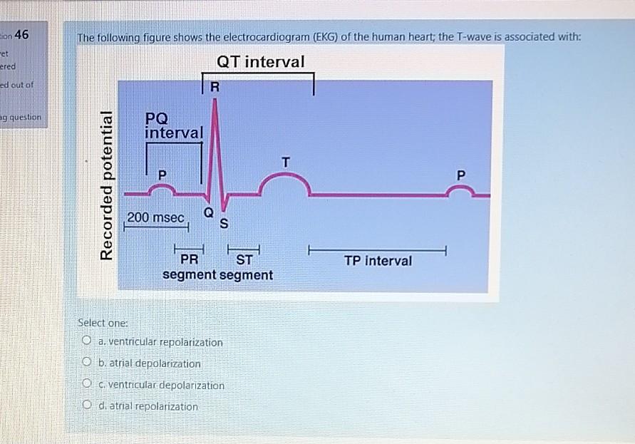 Solved bion 46 The following figure shows the | Chegg.com