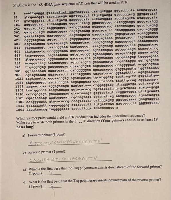 Solved Which primer pairs would yield a PCR product that