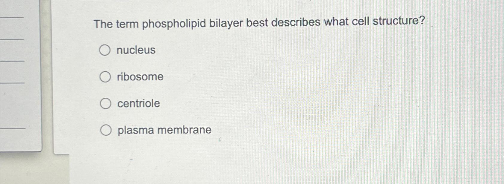 Solved The term phospholipid bilayer best describes what