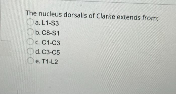 Solved The nucleus dorsalis of Clarke extends from: a. L1-S3 | Chegg.com