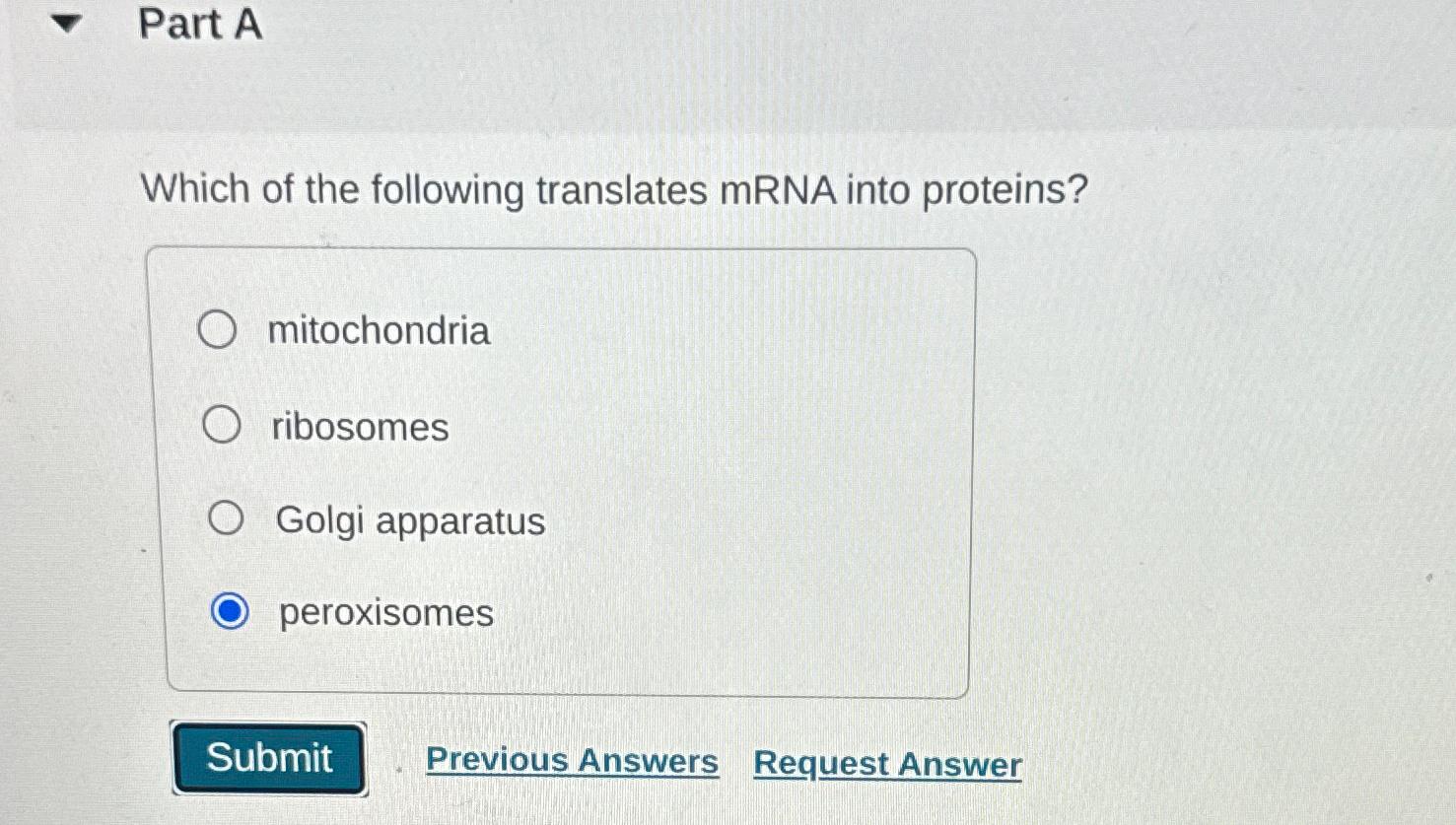 Solved Part AWhich of the following translates mRNA into | Chegg.com