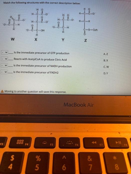 Solved Match the following structures with the correct | Chegg.com
