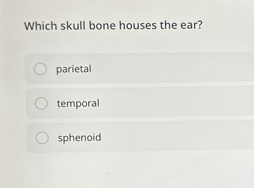 Solved Which skull bone houses the