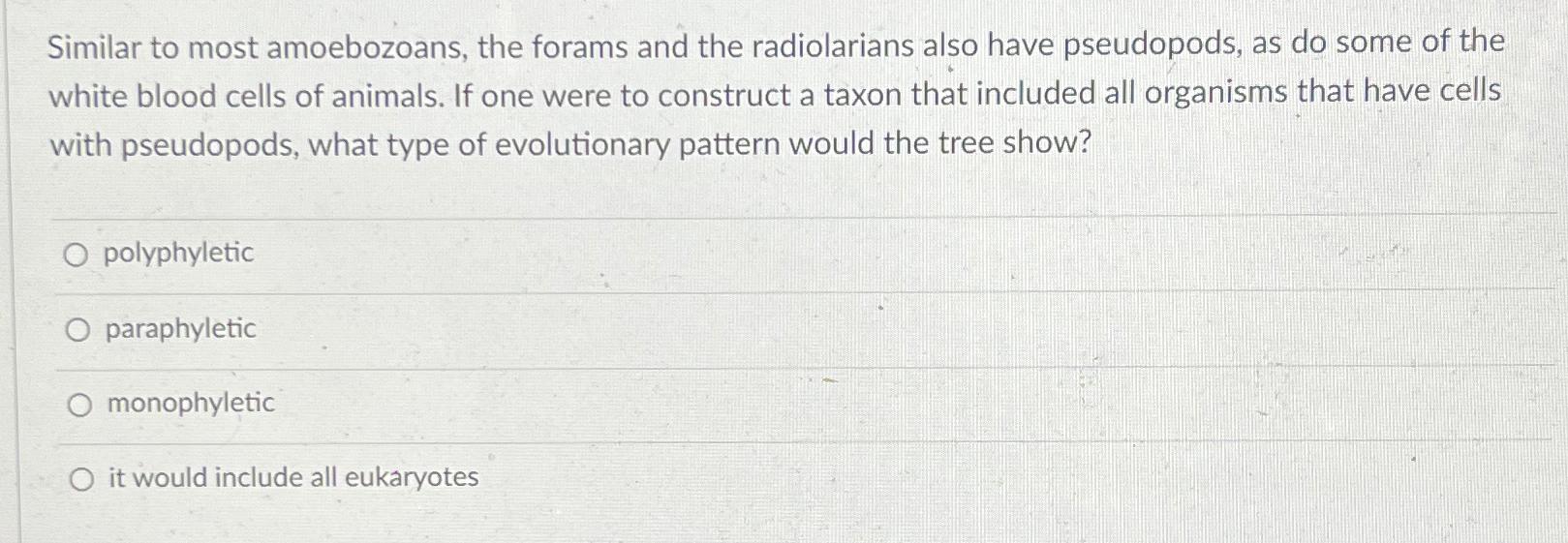 Solved Similar to most amoebozoans, the forams and the