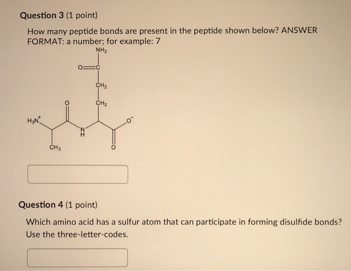 Solved Question 3 (1 point) How many peptide bonds are | Chegg.com