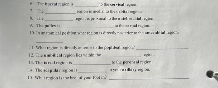 Solved 6. The buccal region is to the cervical region. 7. | Chegg.com