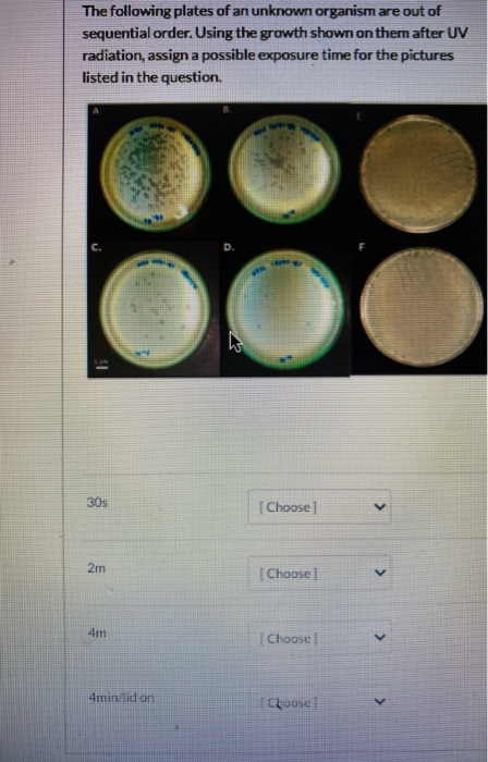 Solved The following plates of an unknown organism are out | Chegg.com
