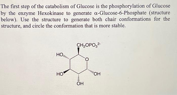 Solved The first step of the catabolism of Glucose is the | Chegg.com