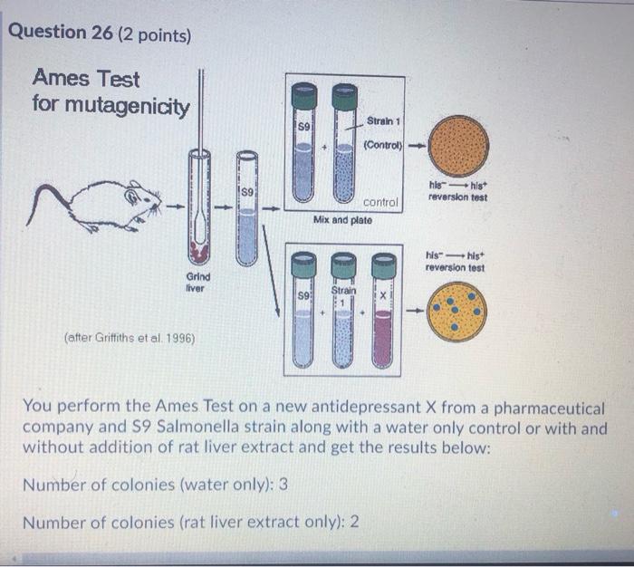 Solved Question 26 (2 points) Ames Test for mutagenicity