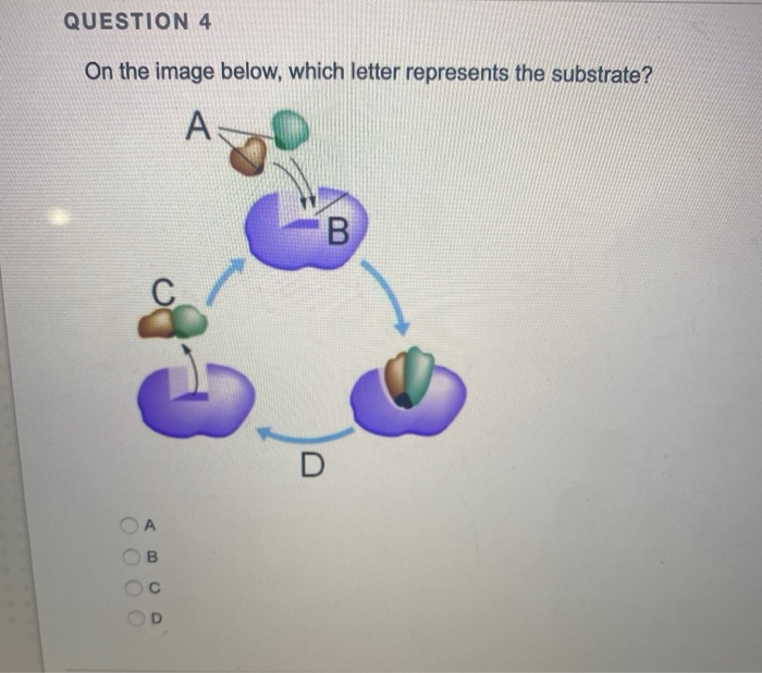 solved-question-4-on-the-image-below-which-letter-chegg