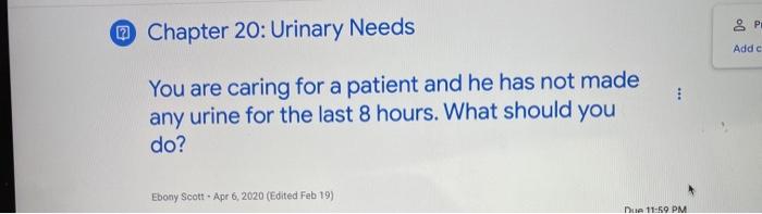 & P ~ Chapter 20: Urinary Needs Add You are caring for a patient and he has not made any urine for the last 8 hours. What sho