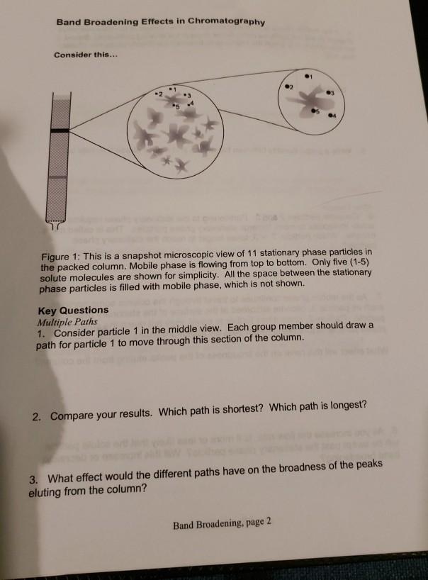 Solved Band Broadening Effects in Chromatography Consider