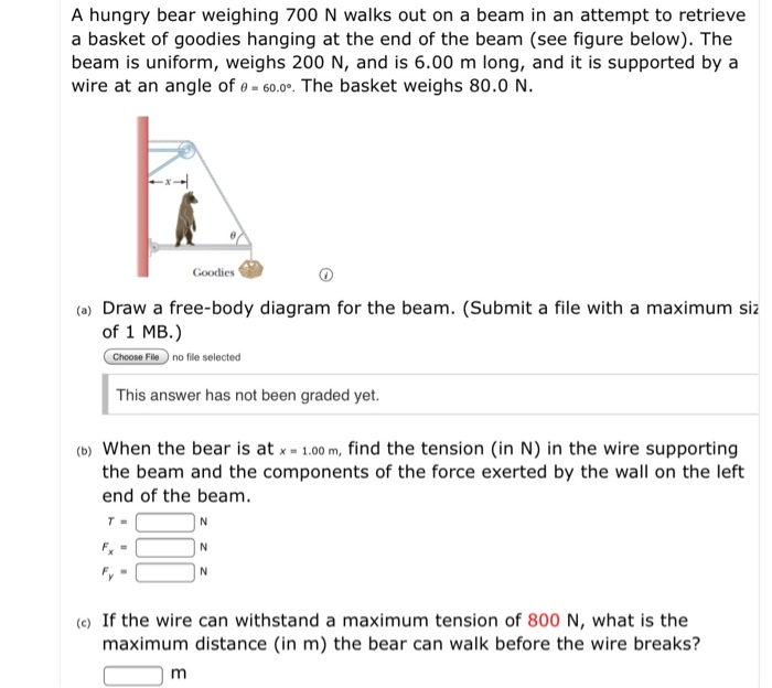 Solved A hungry bear weighing 700 N walks out on a beam in | Chegg.com