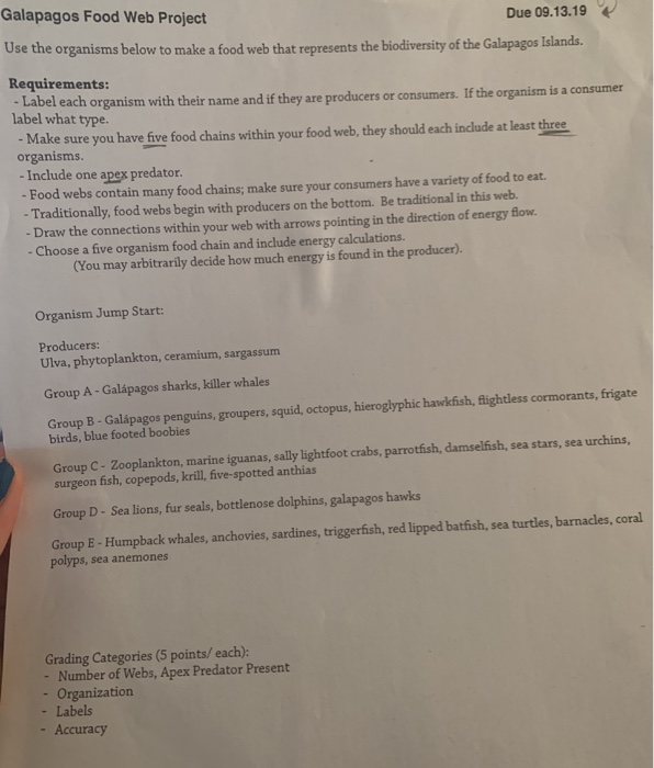 Solved Galapagos Food Web Project Due 09.13.19 Use the | Chegg.com