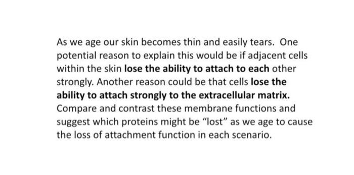 As we age our skin becomes thin and easily tears. One potential reason to explain this would be if adjacent cells within the 