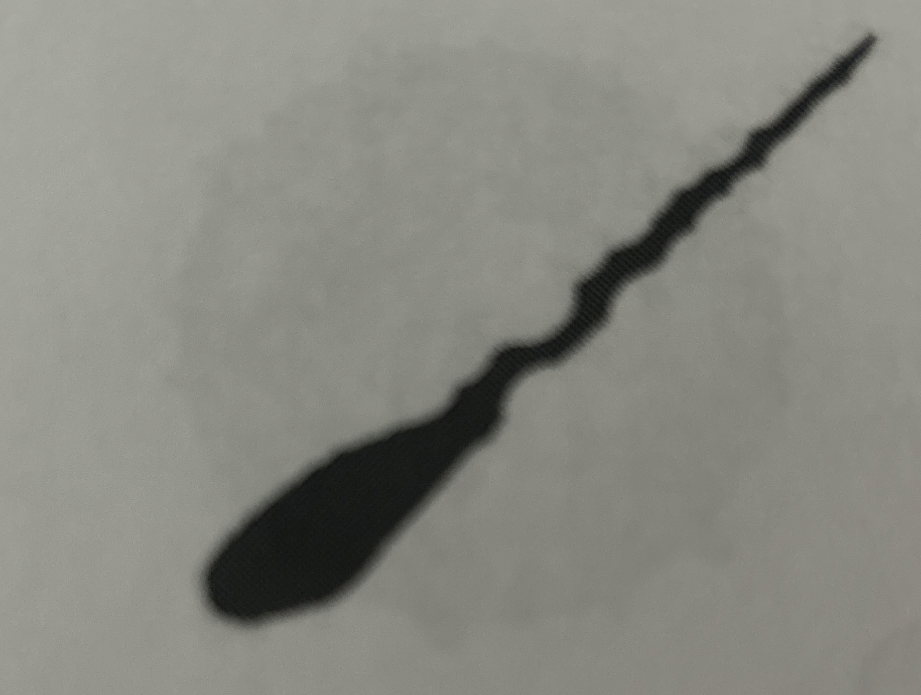 Solved What direction was this blood drop traveling when is | Chegg.com