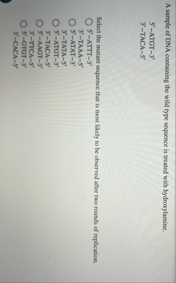 Solved A sample of DNA containing the wild type sequence is | Chegg.com