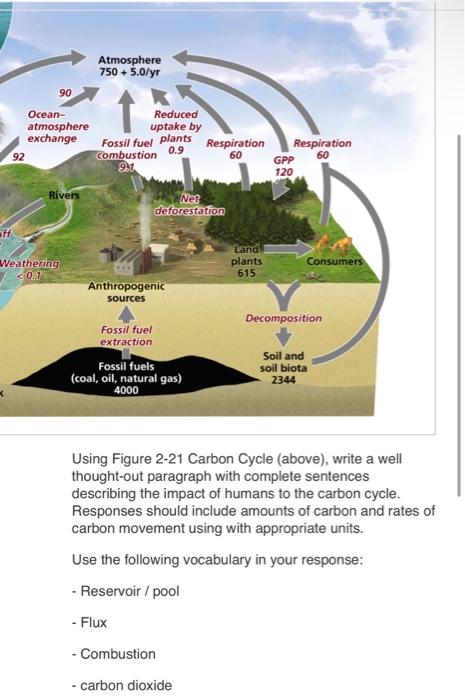 Solved Using Figure 2 21 Carbon Cycle Above Write A Well Chegg Com   Image