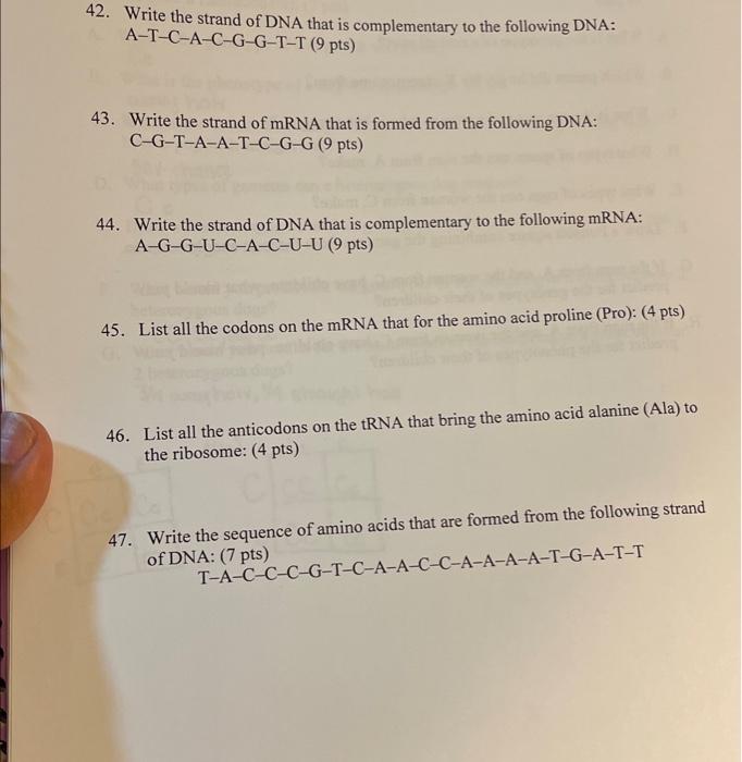 Solved 42. Write the strand of DNA that is complementary to | Chegg.com