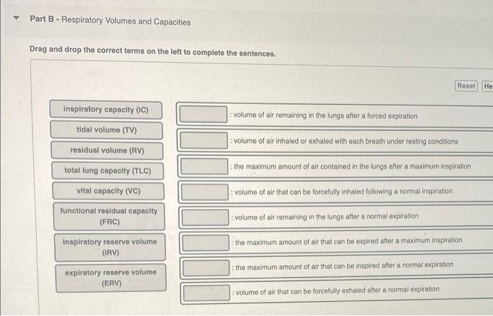 Solved Part B-Respiratory Volumes And Capacities Drag And | Chegg.com