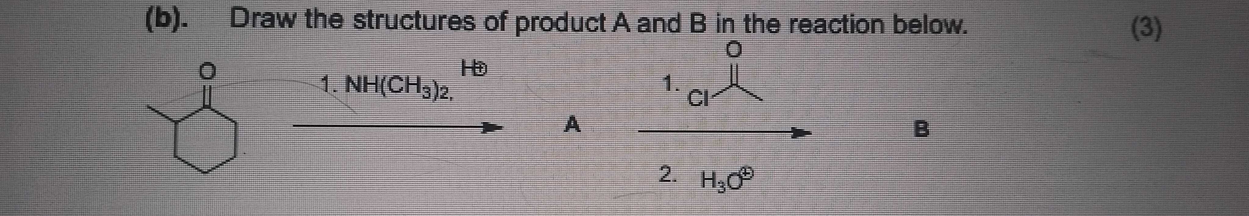 Solved (b). Draw the structures of product A and B in the | Chegg.com