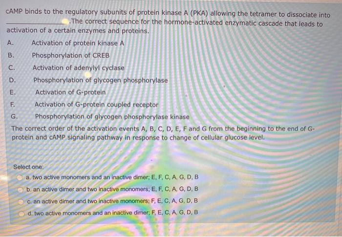 Solved C Camp Binds To The Regulatory Subunits Of Protei Chegg Com