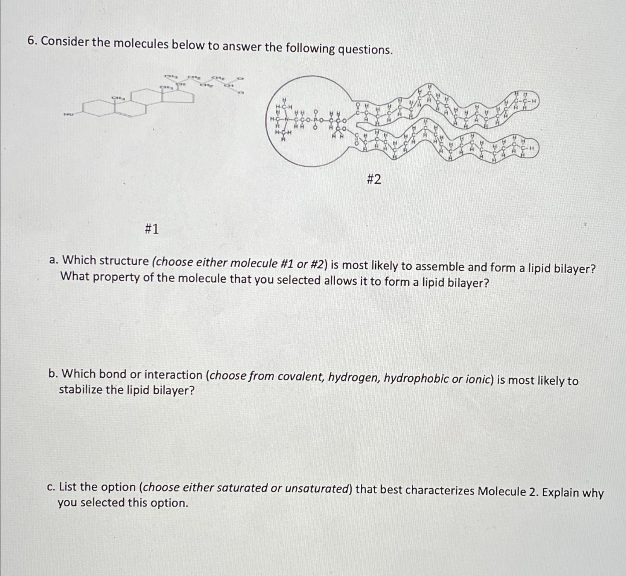 Solved Consider the molecules below to answer the following | Chegg.com
